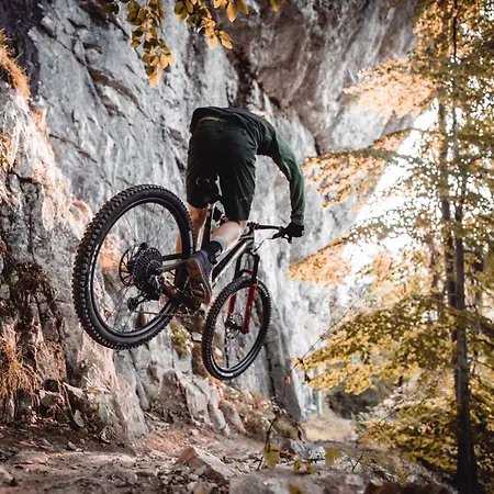 Familienfreundliches Bregenzerwaelderhaus Au (Bregenz)