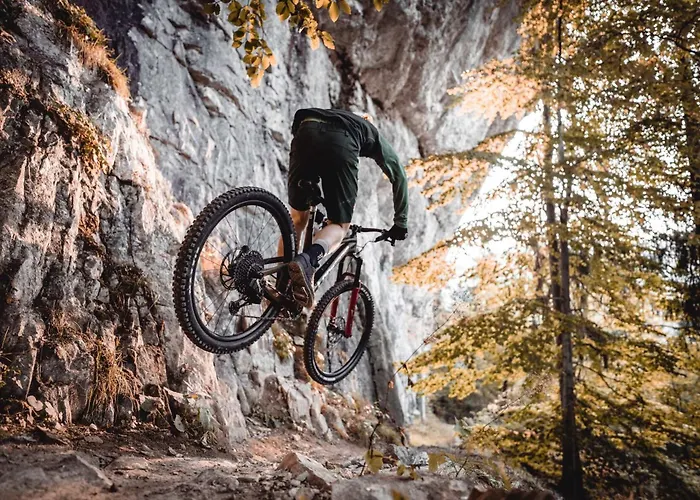 Familienfreundliches Bregenzerwaelderhaus Au (Bregenz)